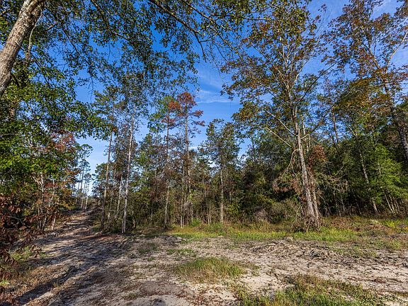 2nd image of 0 Whitehouse Fork Rd