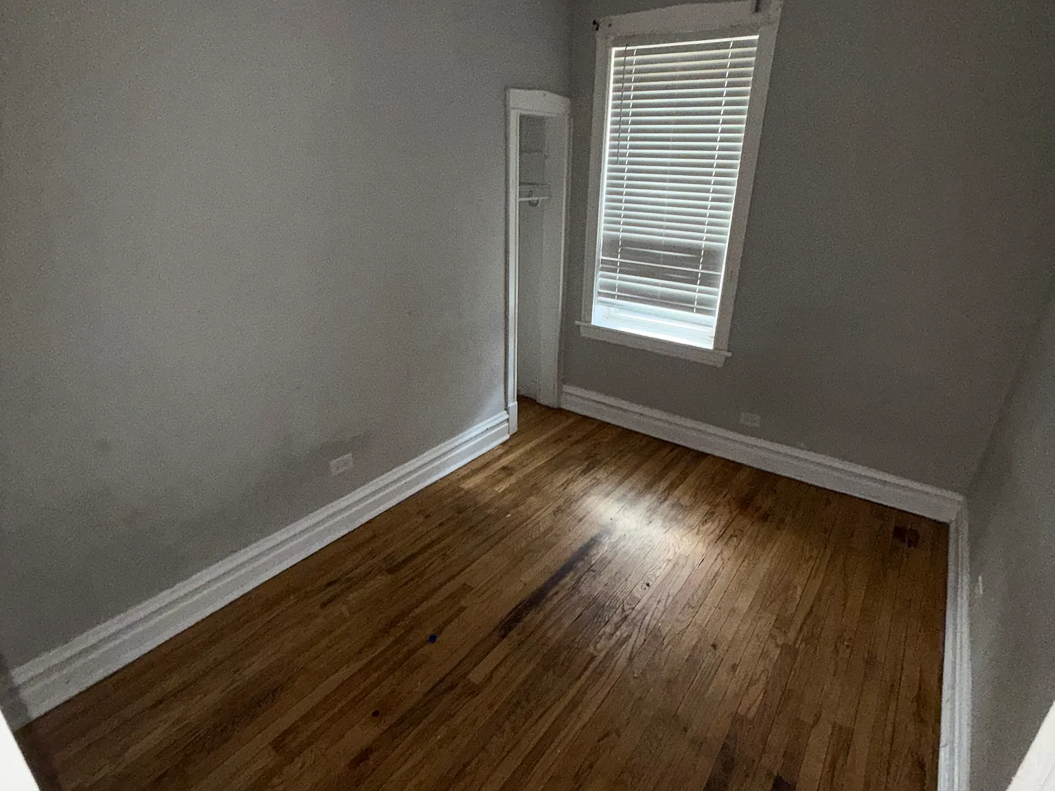 2 bed, 900 sqft, $1,900 — Photo 3