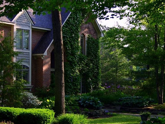 3rd image of 8251 Pine Lake Dr