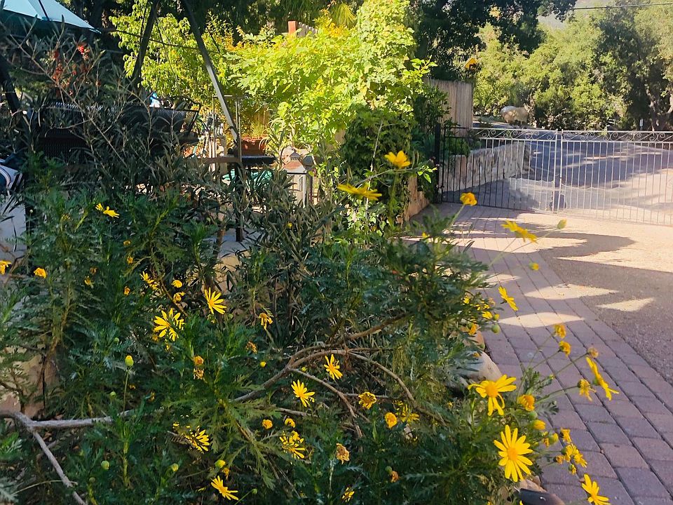 Side garden and entrance to the property with gorgeous mountain views