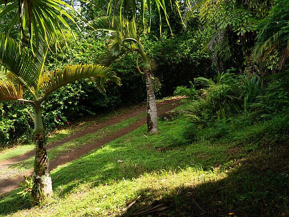 5th image of 715 N Honokala Rd