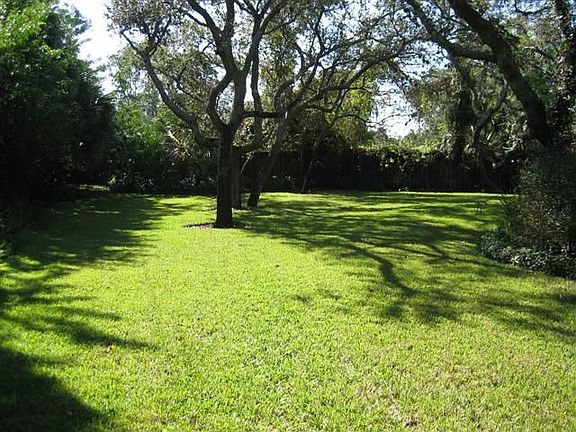 Just part of the back yard
