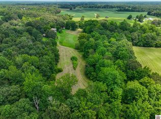 226 Reid Ln, Symsonia, KY 42082