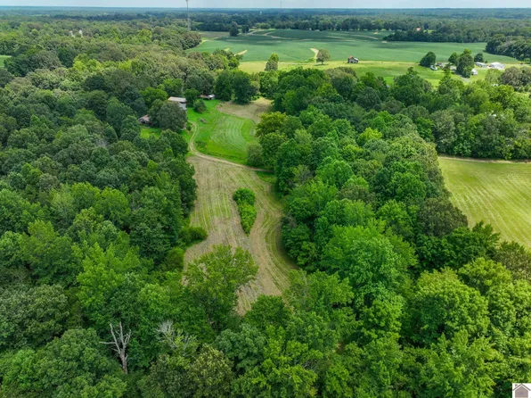 226 Reid Ln, Symsonia, KY 42082