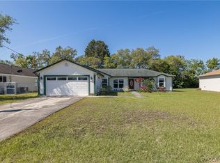 3138 Dow Ln, Spring Hill, FL 34609