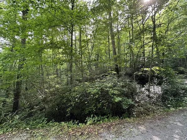 0 Hemlock Falls Rd, Franklin, NC 28734