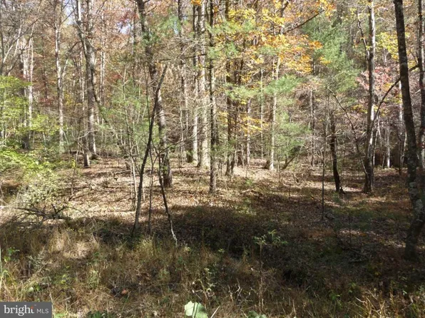 0 Mountain Top Rd, Mathias, WV 26812