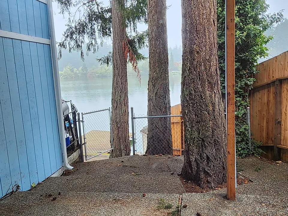 View from patio