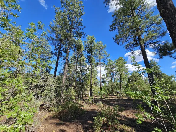 6964 Wagon Wheel Ln, Lakeside, AZ 85929