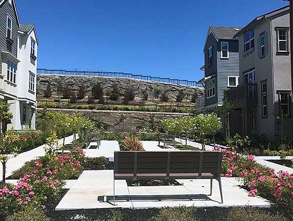 Homesite 30 - Common Area