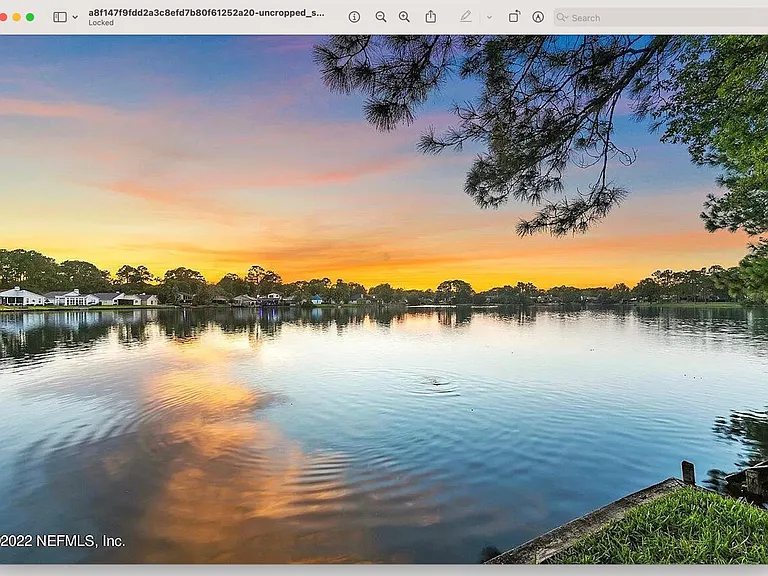 11290 Lake Mandarin Cir E — Photo 5