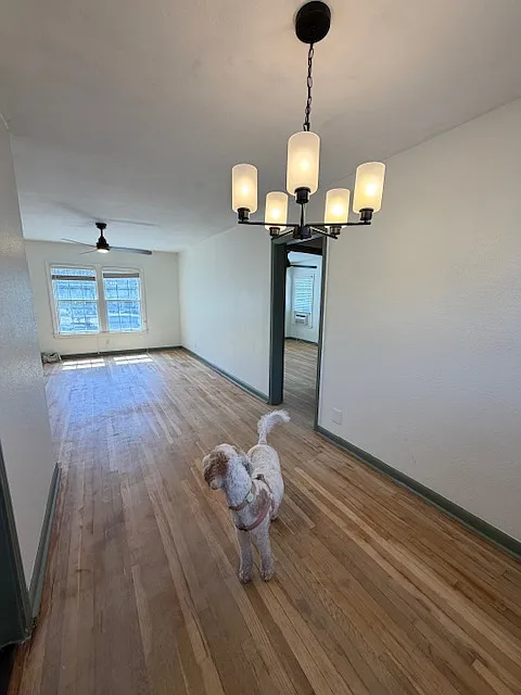 1 bed, 825 sqft, $1,275 — Photo 2