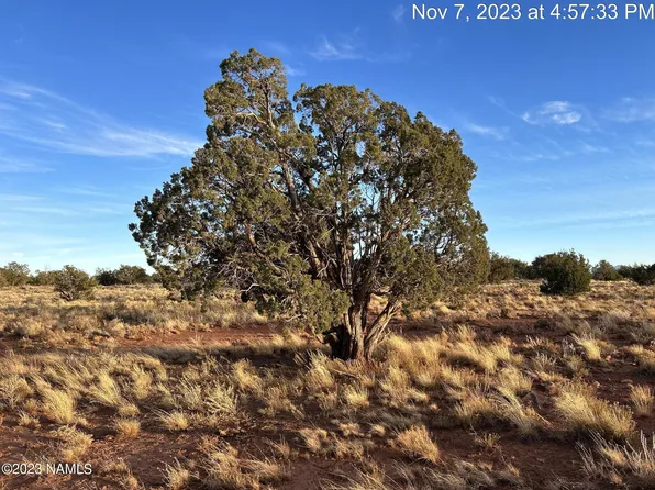 2794 S Alden Gln #39, Williams, AZ 86046