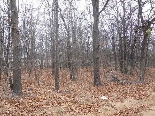 2nd image of Birdhouse Rd