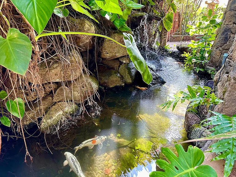Cute 6 Koi __