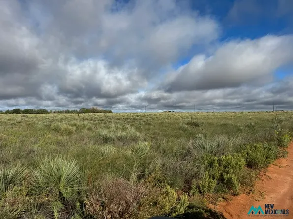 1880 S Roosevelt Rd S #3, Portales, NM 88130