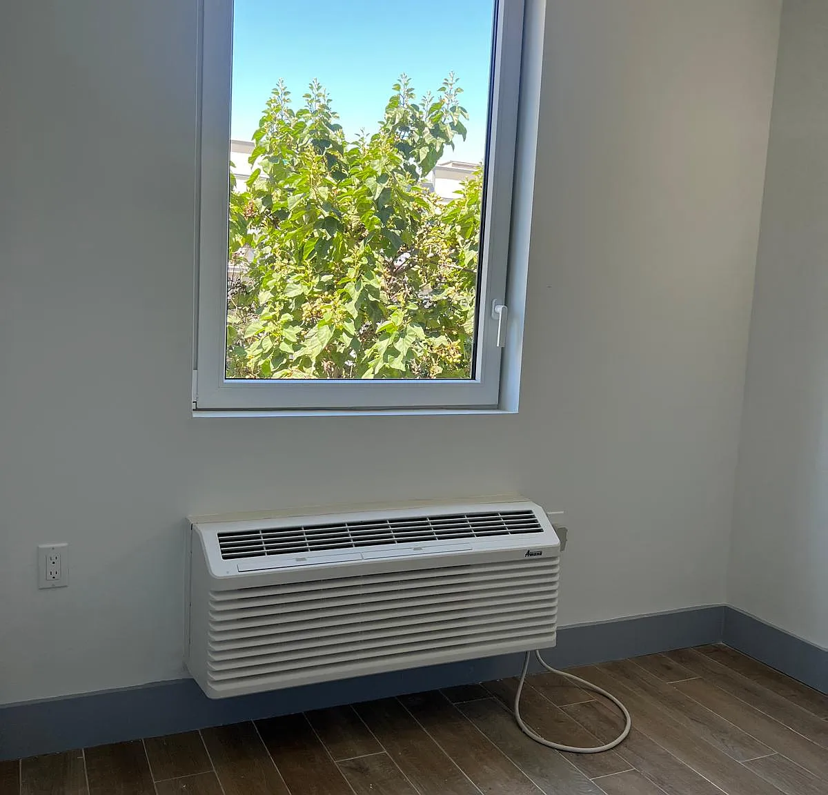 2 bed, 800 sqft, $3,058 — Photo 4