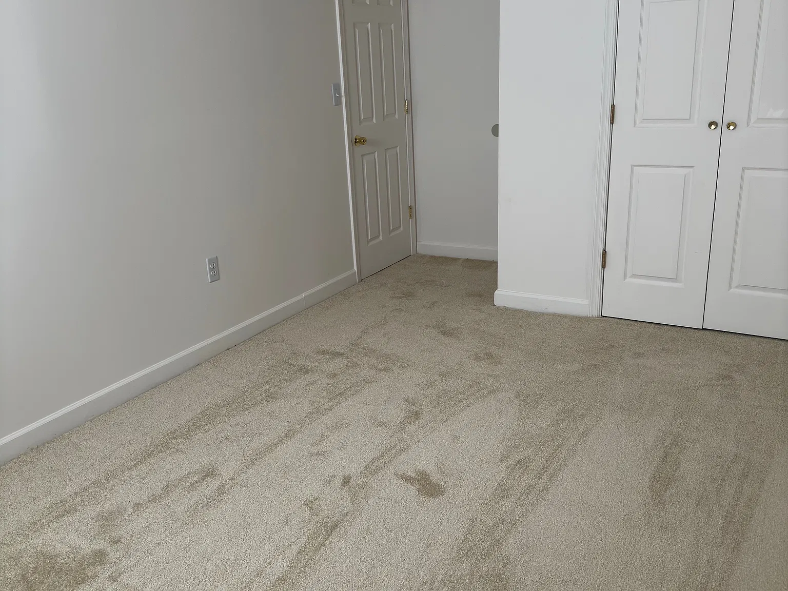 1 bed, $1,350 — Photo 4