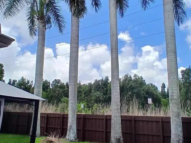3344 SW 156th Ct — Photo 18