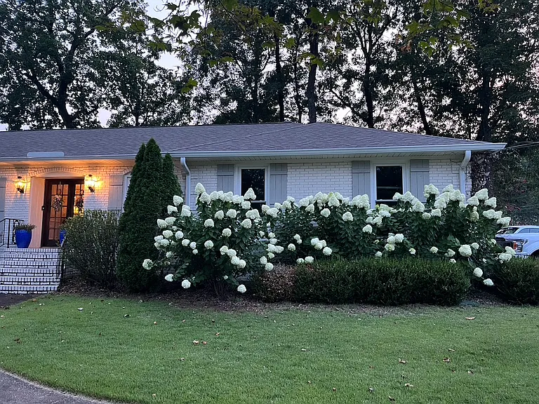 913 Mountain Branch Dr — Photo 12