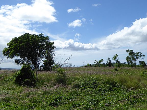 3rd image of Puu Kamanu Lane