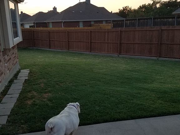 Large backyard