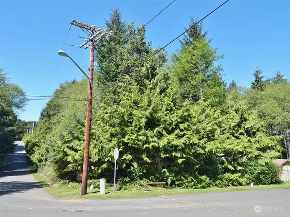 3 Holly Lane, Pacific Beach, WA 98571