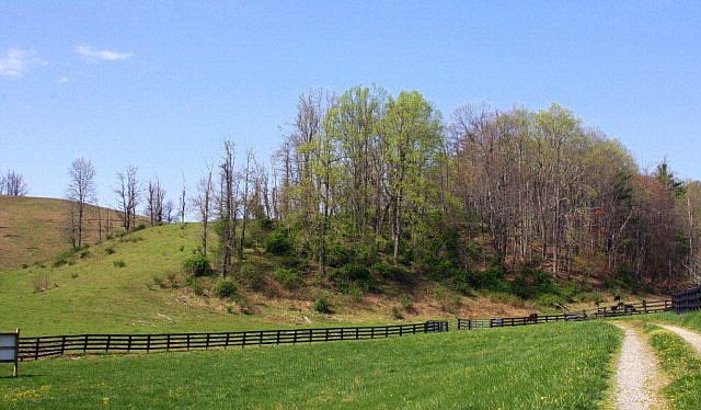 2nd image of 18212 Callaway Rd