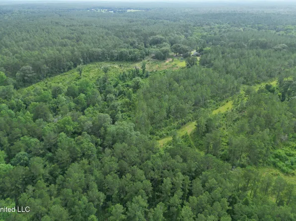 Nhn Tower Rd, Wiggins, MS 39577