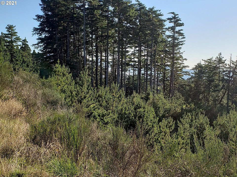 2nd image of Manzanita Dr #241
