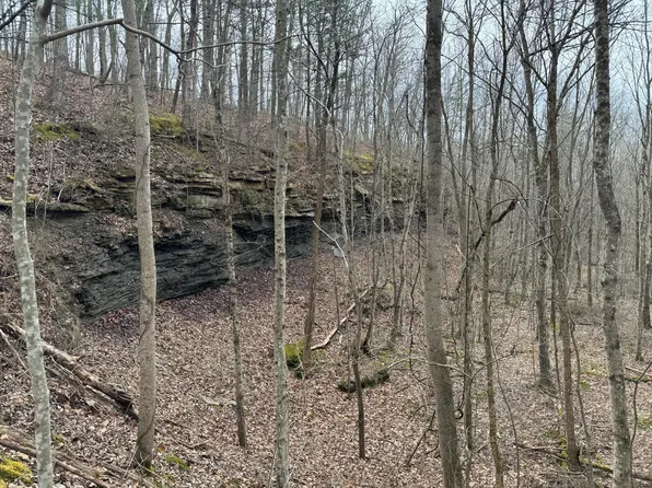 TRACT Wolf Creek Rd #3, Mount Vernon, KY 40456