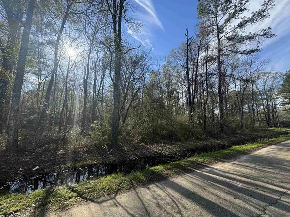 LOT 4A Joe Lee Rd, Walker, LA 70785