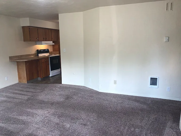 323 E 18th Aly — Photo 3