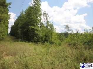 2 Sweeney Rd, Chesterfield, SC 29709