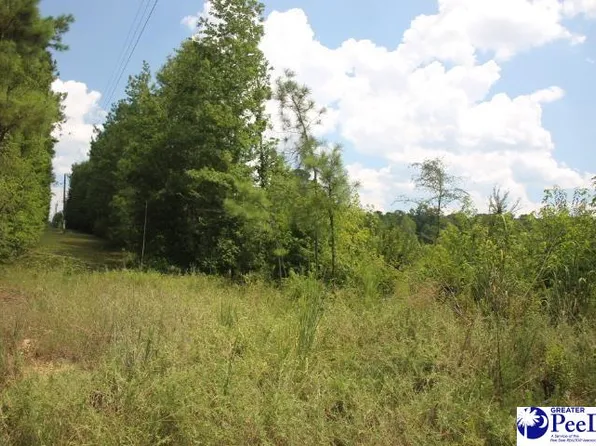 2 Sweeney Rd, Chesterfield, SC 29709