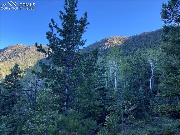 4th image of 285 Forest Rd