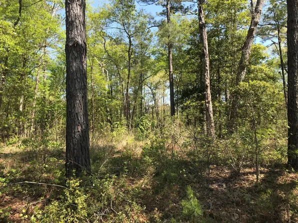 436 Indian Bluff Drive, Minnesott Beach, NC 28510