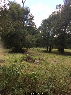 5th image of Tbd Berry Creek Dr