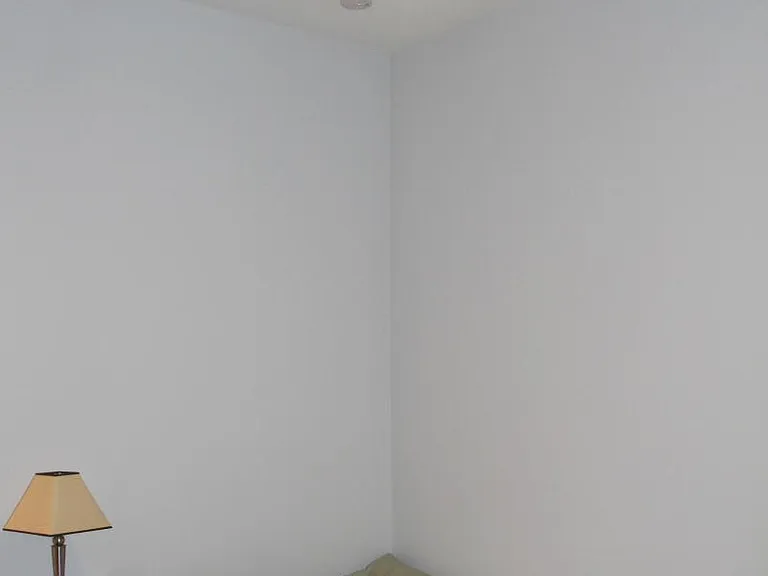 Remote Controlled Ceiling Fan