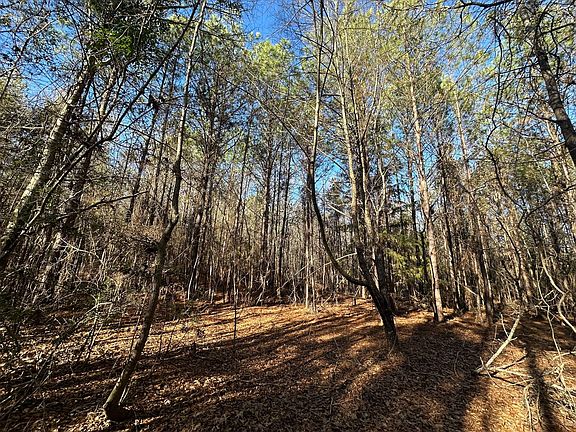 Photo Jan 16 2026 9 12 12 Am