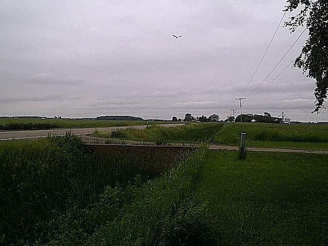 StreetView