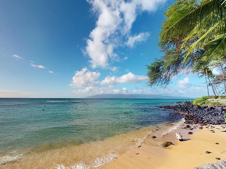 3901 Lower Honoapiilani Rd — Photo 18