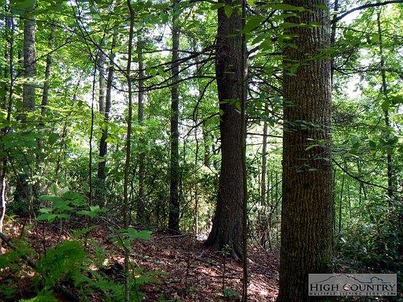 5th image of Tbd Hardwood Hill Drive
