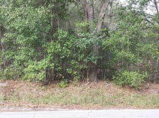 19251 SW 57th Pl, Dunnellon, FL 34432