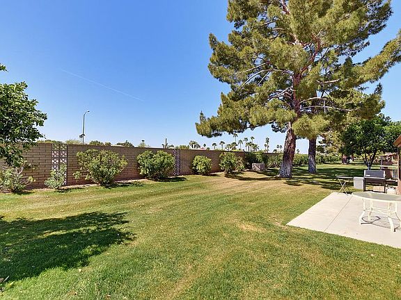 back yard