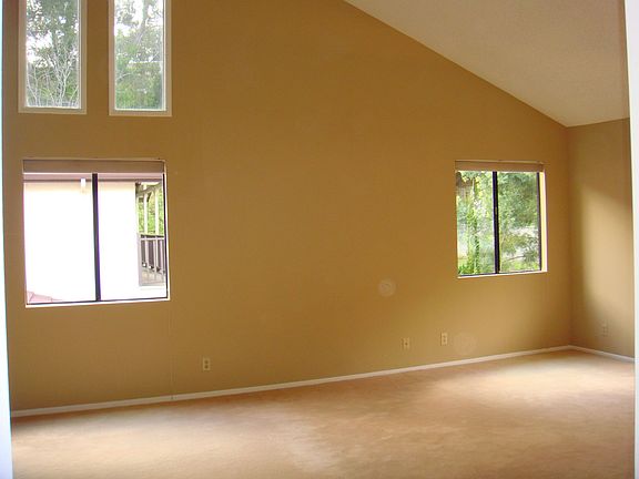 5th image of 805 Rollin St
