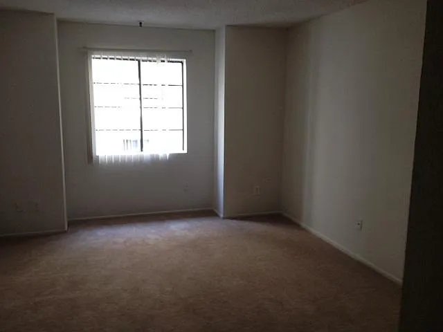 Hollywood Terrace — Photo 9