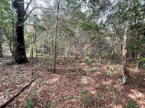 79422 Highway 41, Bush, LA 70431