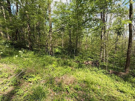3rd image of Coon Path Rd