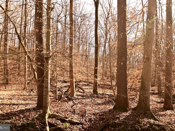 13020 Old Fort Rd, Fort Washington, MD 20744